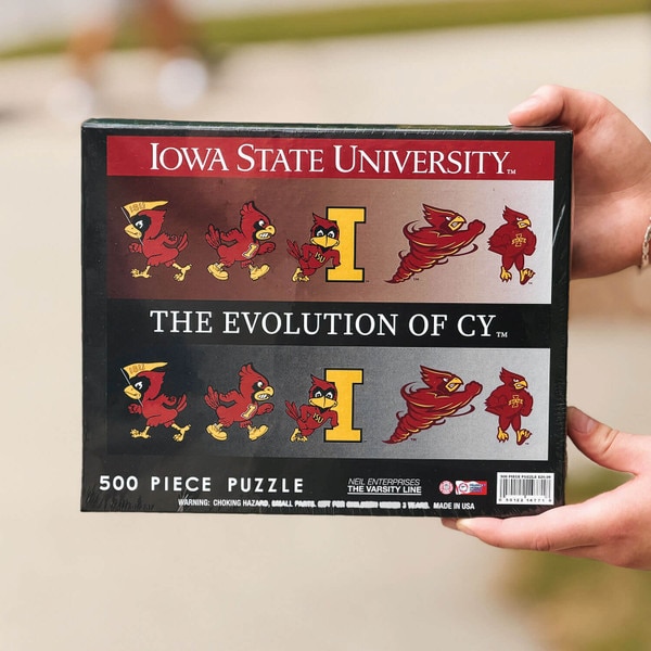 Evolution of Cy 500 Piece Puzzle